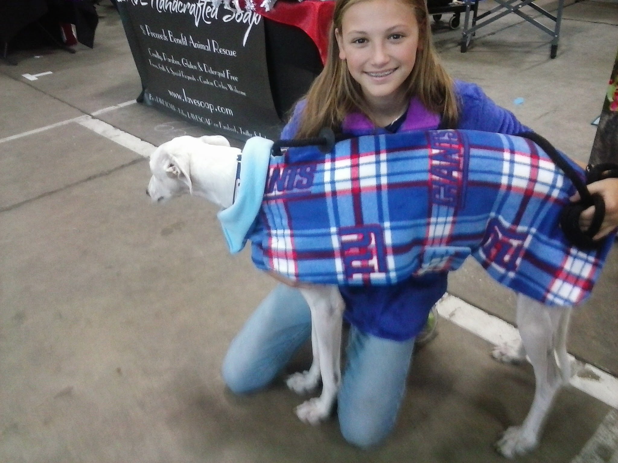 Greyhound Fall coats