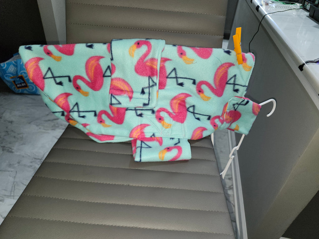 Greyhound Fall coats