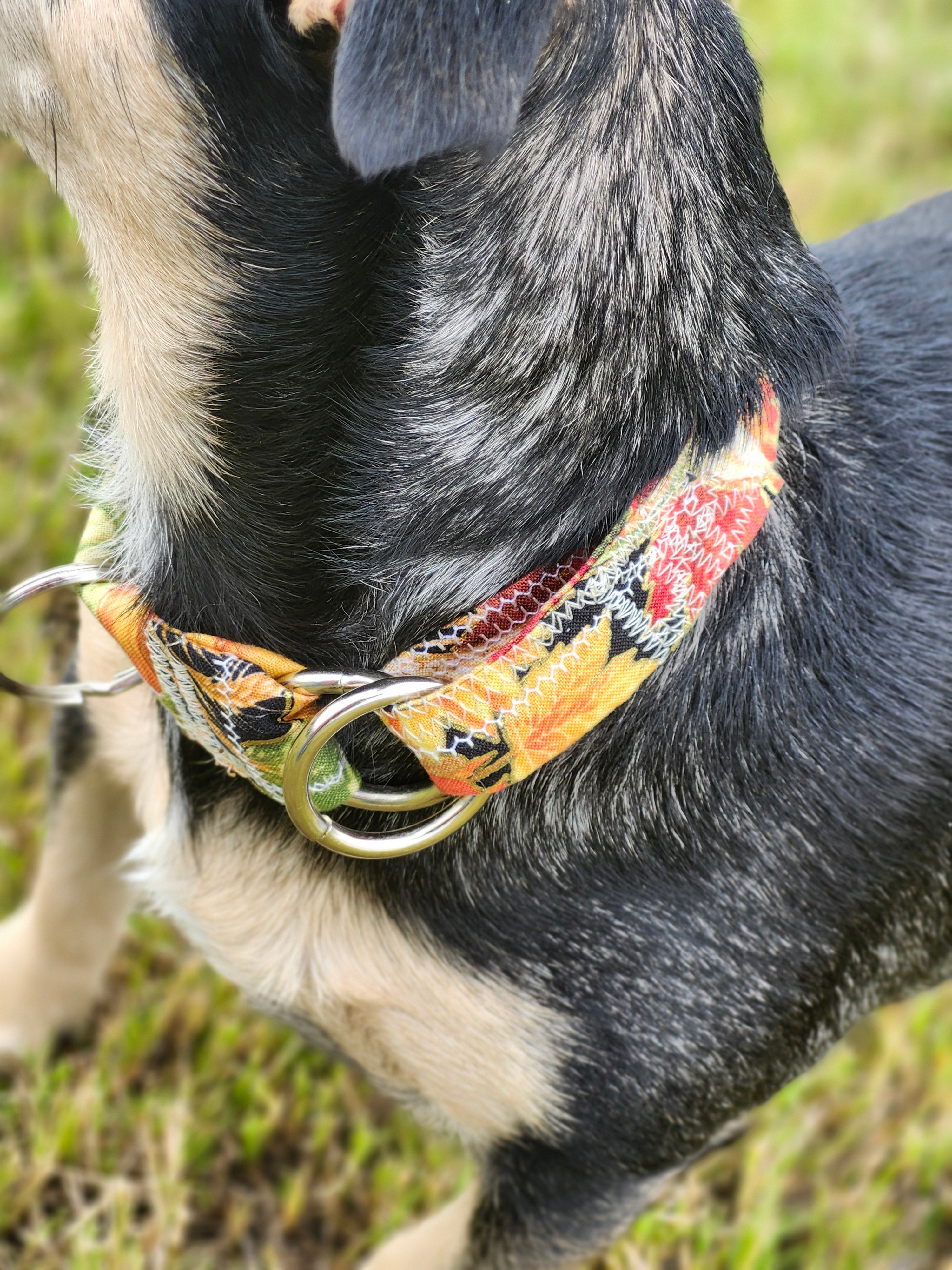 Martingale collars