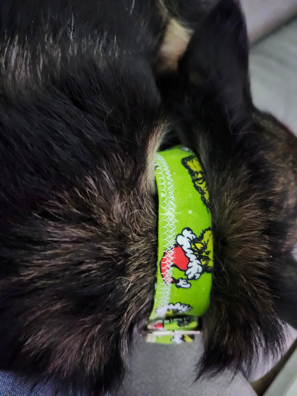 Italian Greyhound Martingale Collar